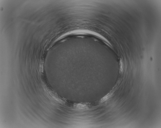 X0000056000180200509021713