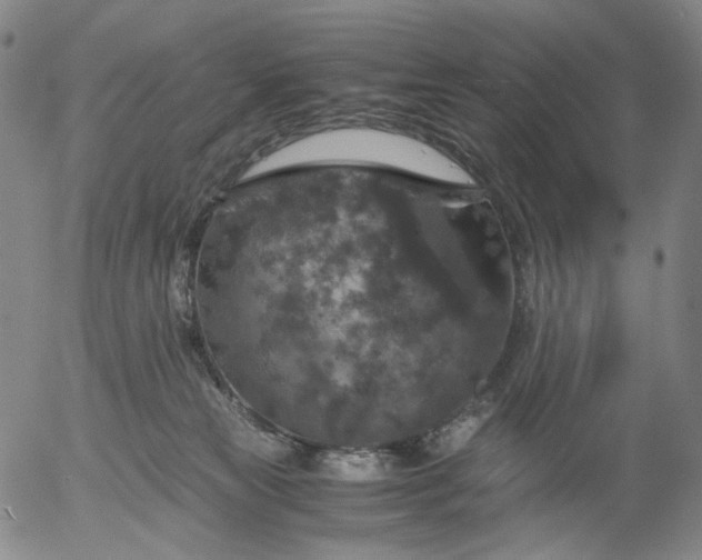 X0000056000181200509021713