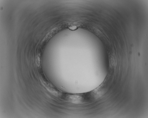 X0000056000183200509021713