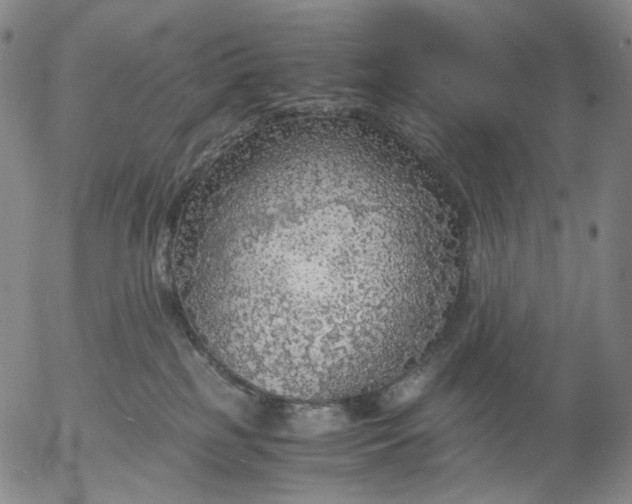 X0000056000185200509021713