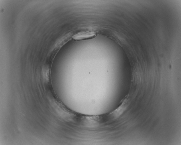 X0000056000188200509021713