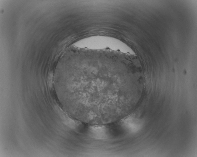 X0000056000189200509021713