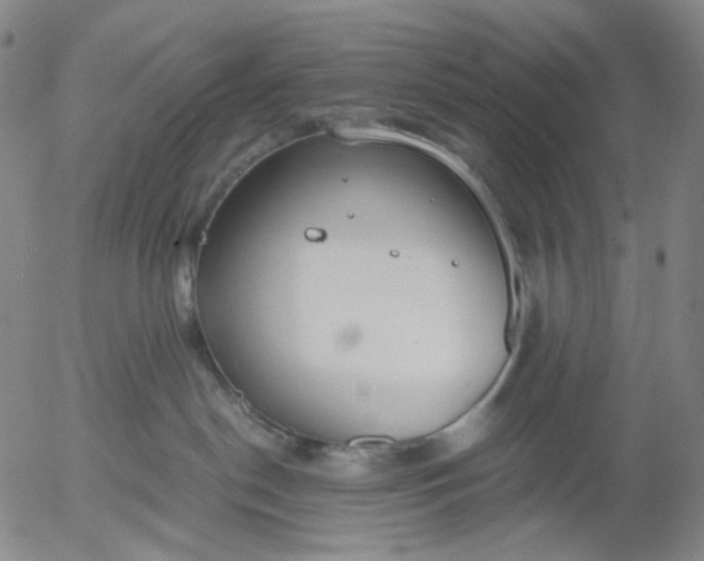 X0000056000190200509021713