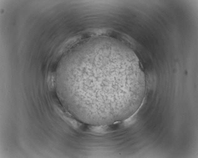 X0000056000191200509021713