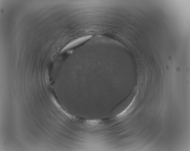 X0000056000192200509021713