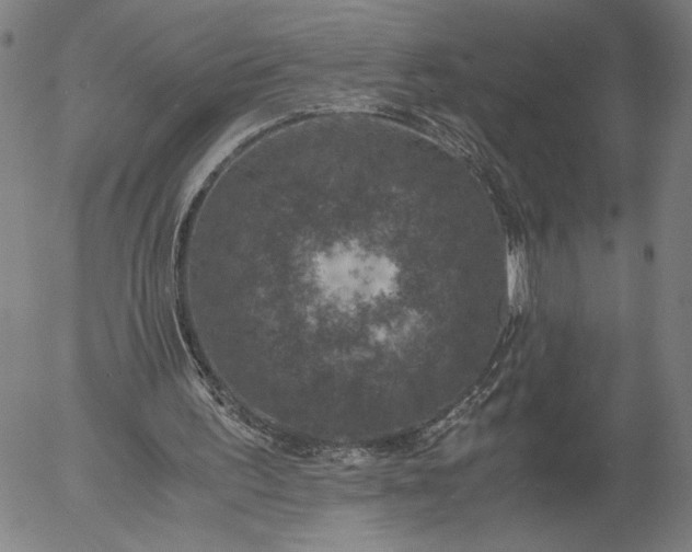 X0000056000195200509021713