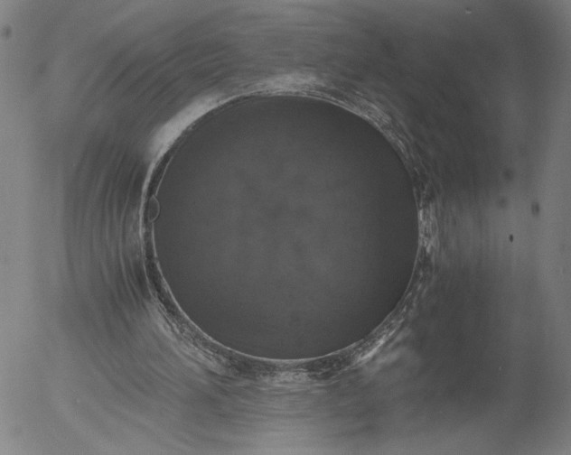 X0000056000196200509021713