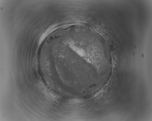 X0000056000198200509021713