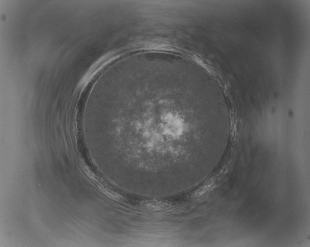 X0000056000199200509021713