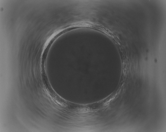 X0000056000200200509021713