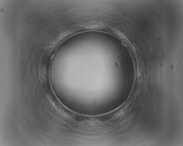 X0000056000201200509021713