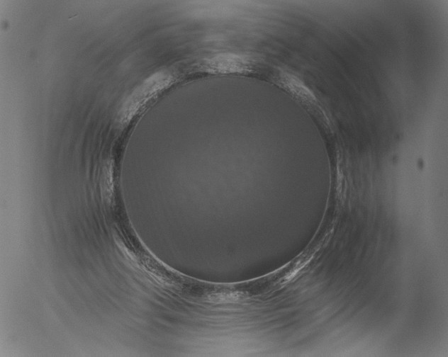 X0000056000202200509021713