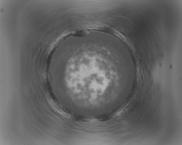 X0000056000203200509021713