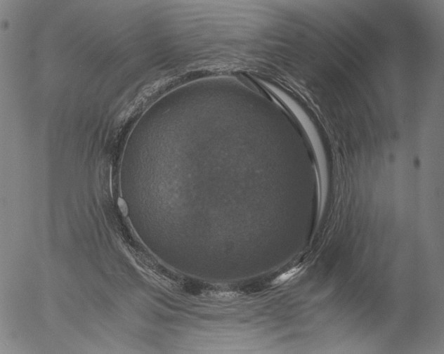 X0000056000205200509021712