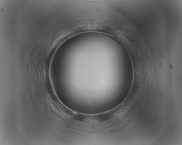 X0000056000207200509021712