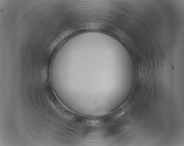 X0000056000208200509021712