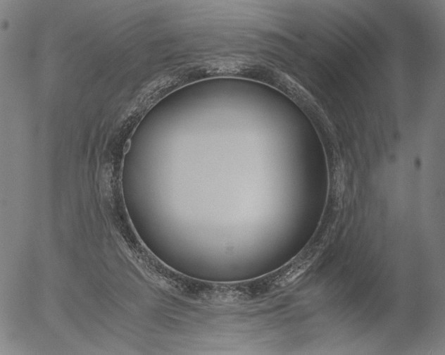 X0000056000209200509021712