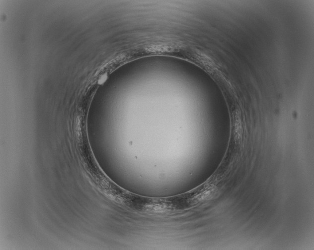 X0000056000211200509021712