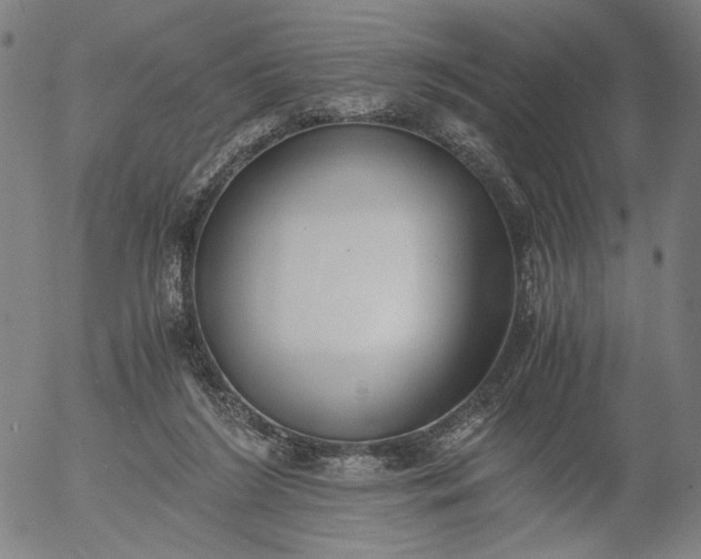 X0000056000212200509021712