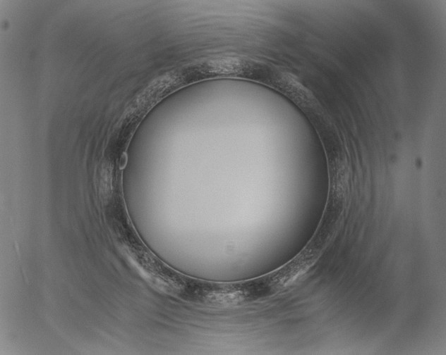 X0000056000213200509021712