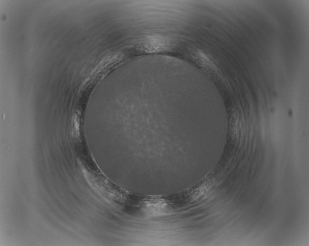 X0000056000214200509021712