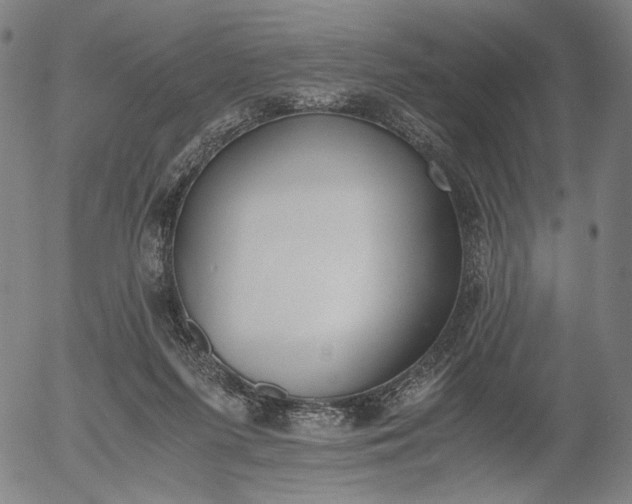 X0000056000215200509021712