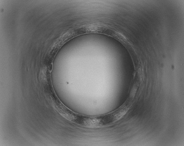 X0000056000217200509021712