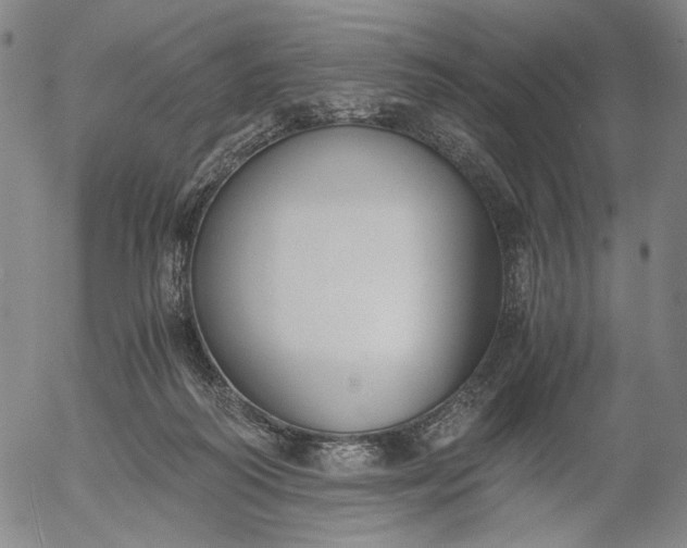 X0000056000218200509021712