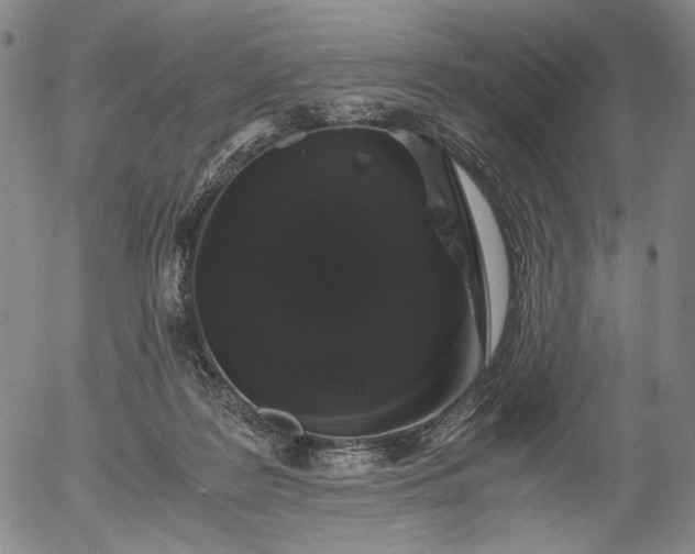 X0000056000219200509021712