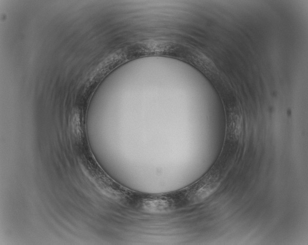 X0000056000220200509021712