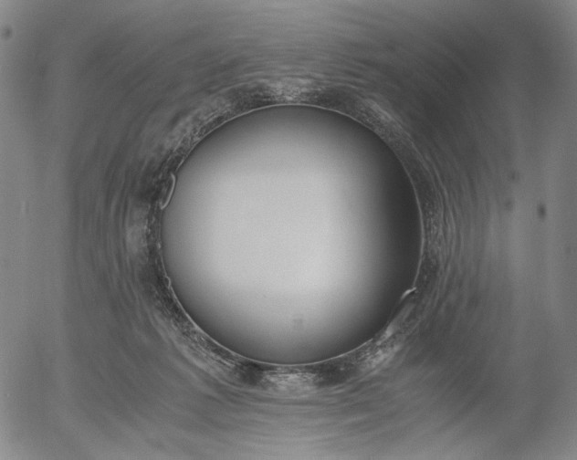 X0000056000221200509021712