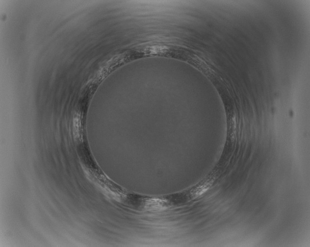 X0000056000222200509021712