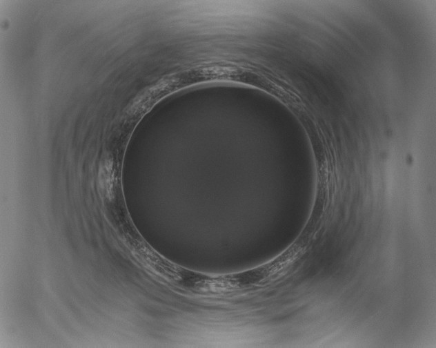 X0000056000223200509021712