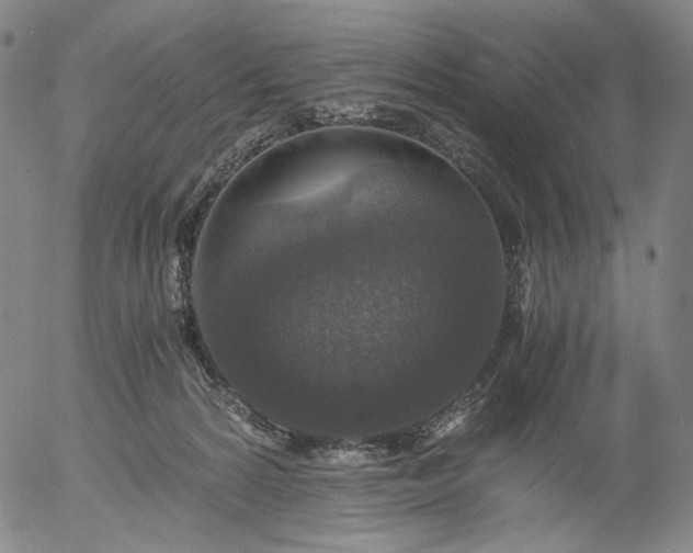 X0000056000224200509021712