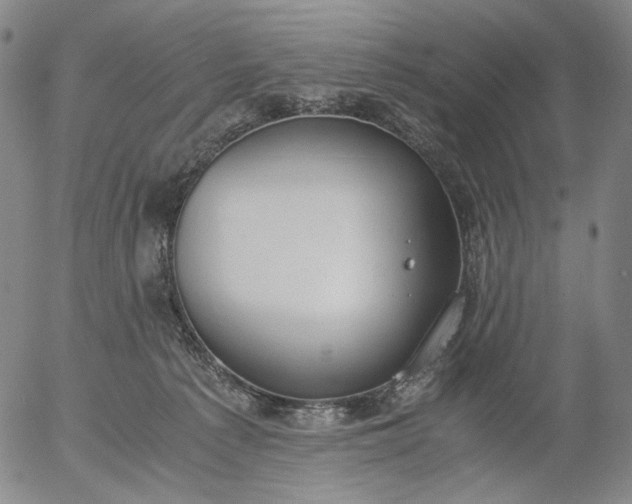 X0000056000225200509021712