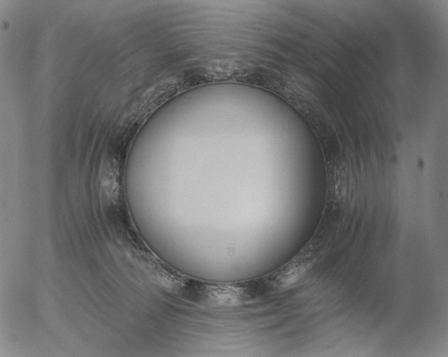 X0000056000226200509021712