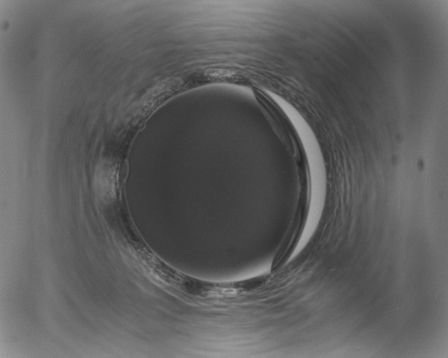 X0000056000227200509021712