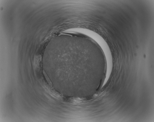 X0000056000229200509021712