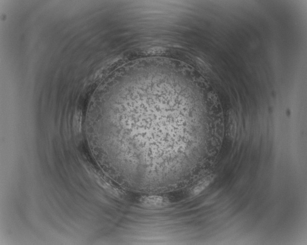 X0000056000230200509021712