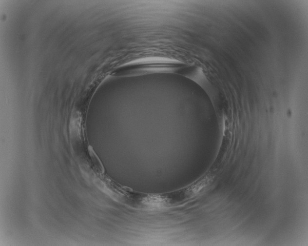 X0000056000231200509021712