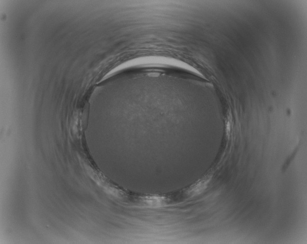 X0000056000233200509021712