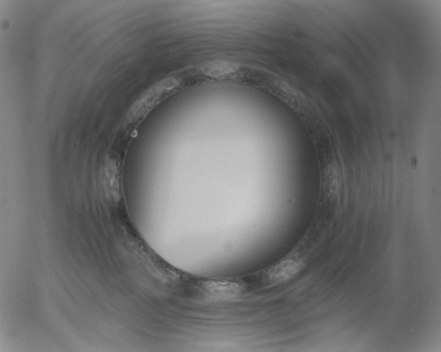 X0000056000234200509021712