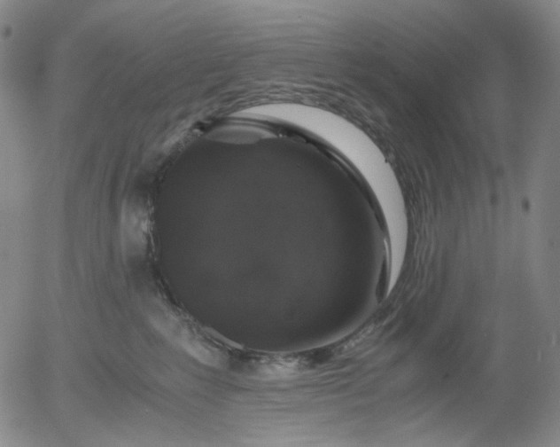 X0000056000235200509021712