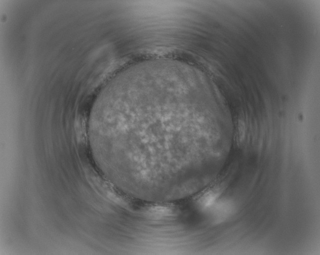 X0000056000236200509021712