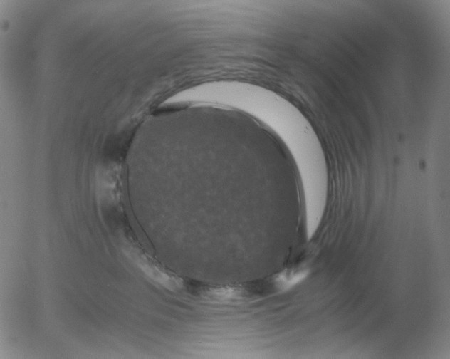 X0000056000237200509021712