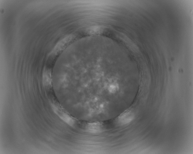 X0000056000240200509021712