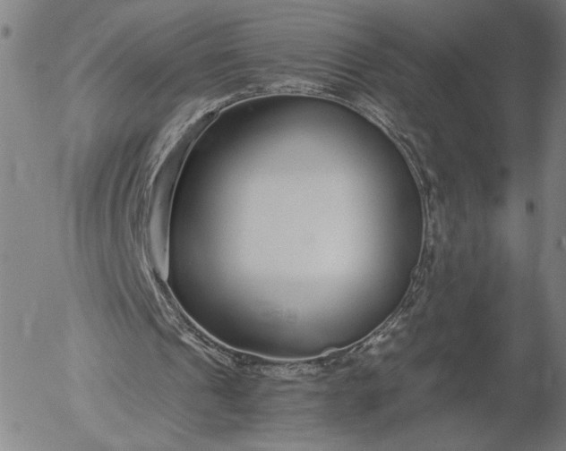 X0000056000241200509021711