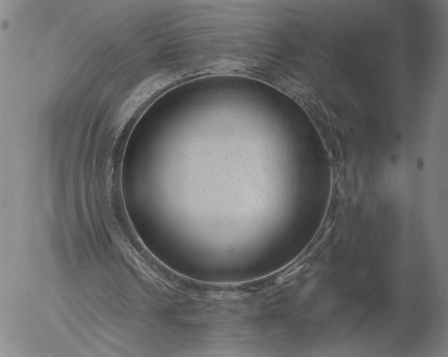 X0000056000242200509021711