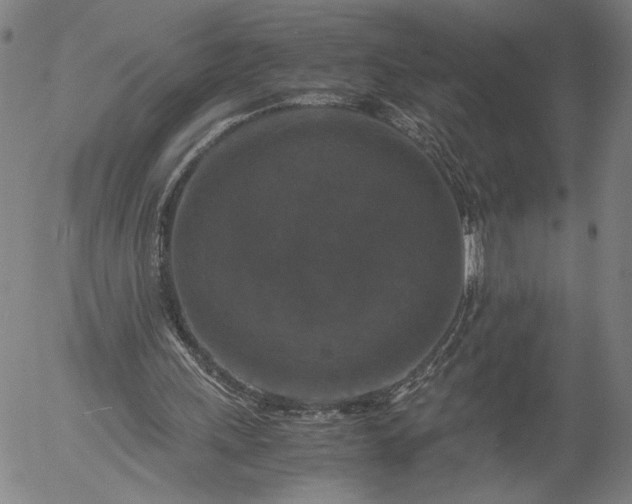 X0000056000243200509021711