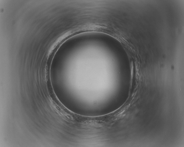 X0000056000244200509021711